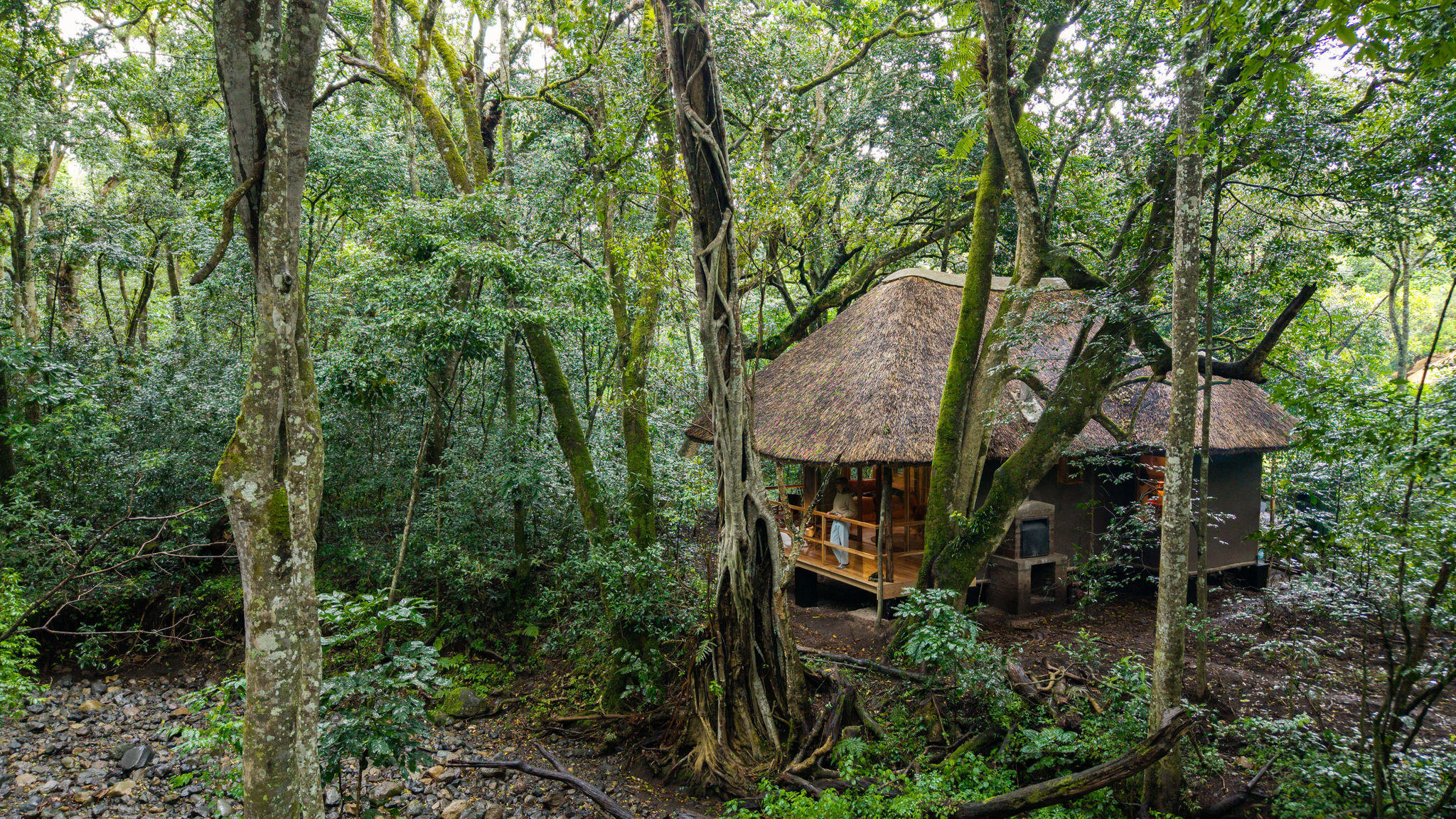 Koroi Forest Camp